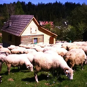 Domek Przy Olczyskiej Domek alpejski Zakopane